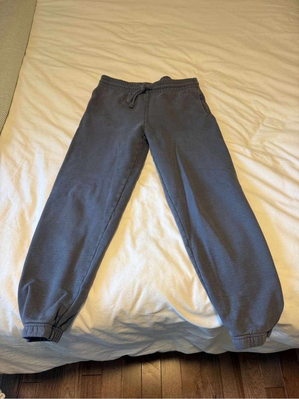 Aritzia TNA Cozy Fleece Sweatpants in Slate Blue